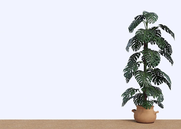 Photo beautiful indoor plants on a white background