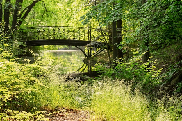 夏の緑豊かな公園の美しい鉄橋