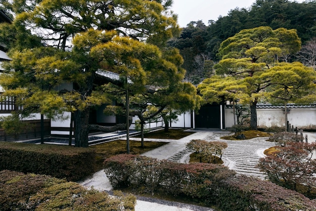 Beautiful japanese garden