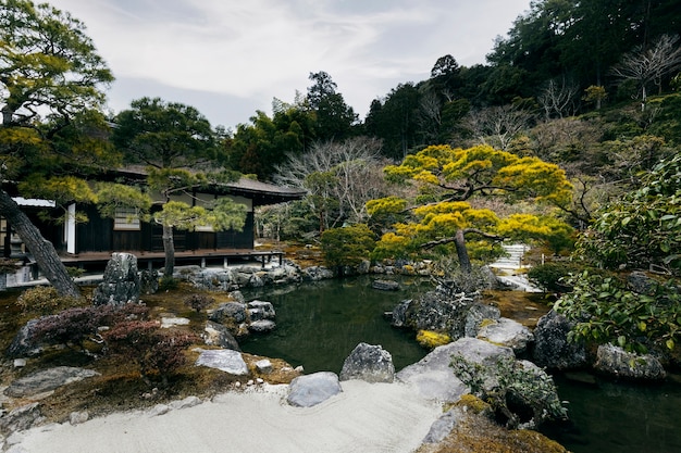 Foto bellissimo giardino giapponese