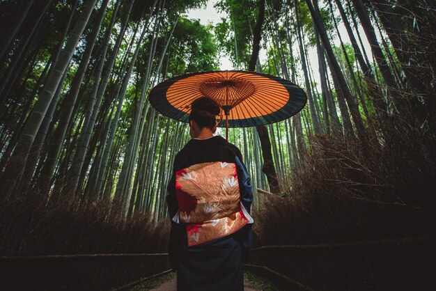 Beautiful japanese senior woman walking in the bamboo forest