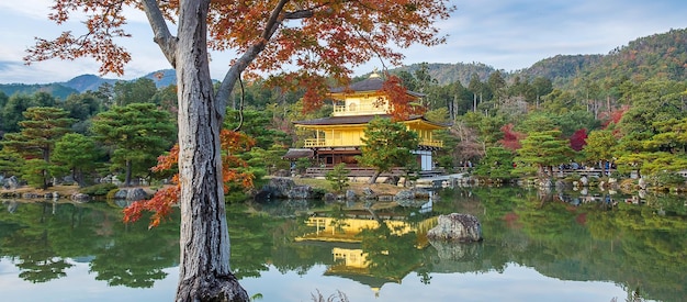 Beautiful of Kinkakuji temple or the golden Pavilion in Autumn foliage season landmark and famous for tourist attractions in Kyoto Kansai Japan