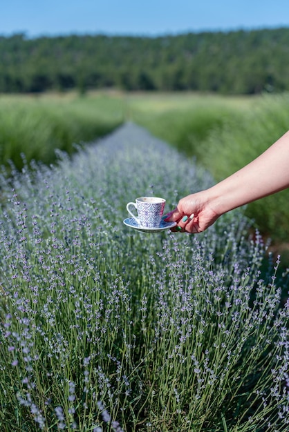 A beautiful lady working on the phone in the pergola huts in the lavender field