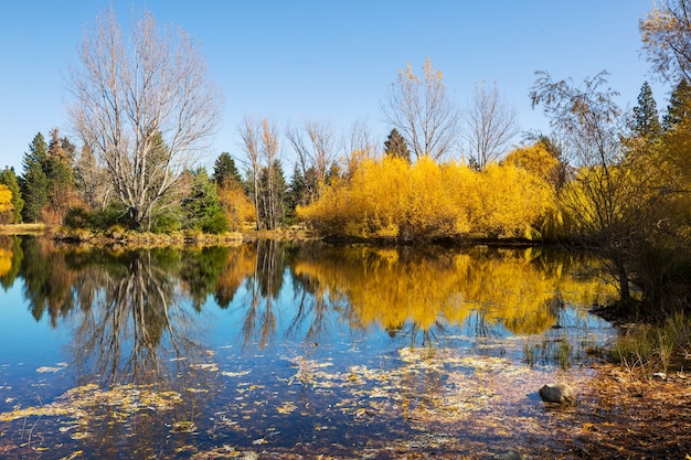 The beautiful lake in Autumn season