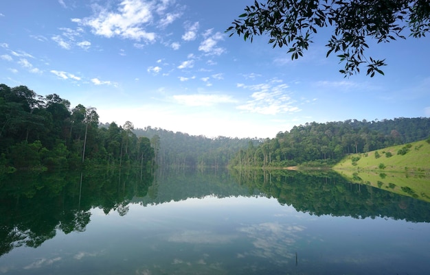 美しい湖と森の風景