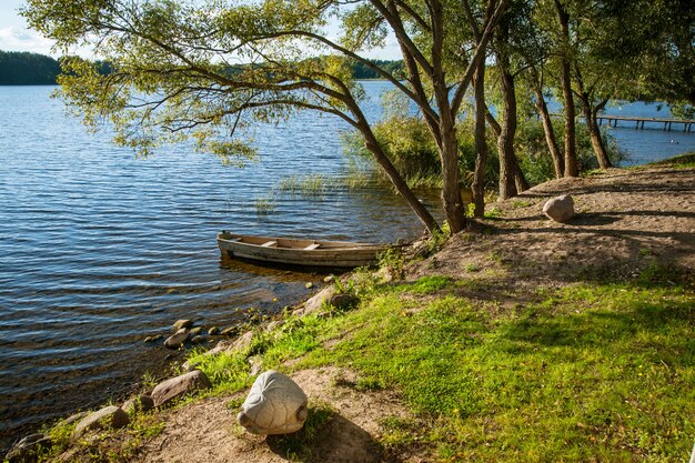Фото Красивое озеро в летний день