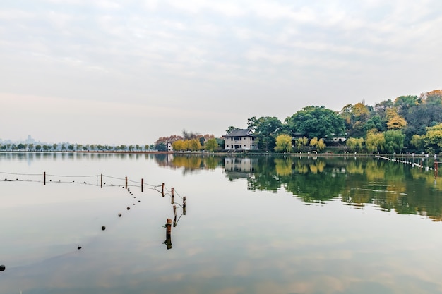 Фото Красивое озеро рядом с лесом