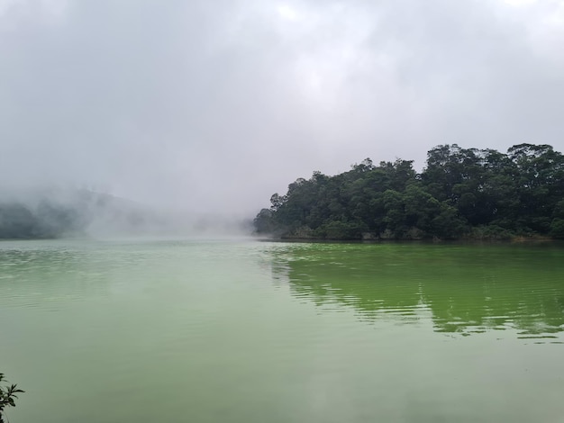 美しい湖の景色 霧深い緑の水の色