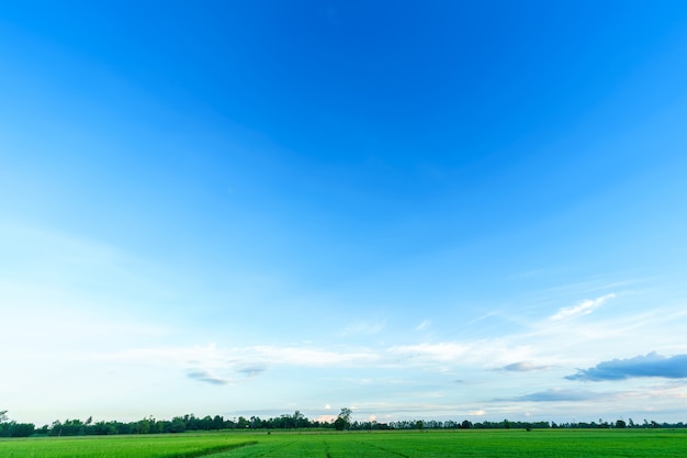 Beautiful land air atmosphere bright blue sky abstract clear texture with white cloud.