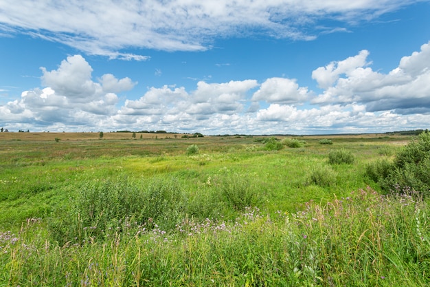 Прекрасная земля России в середине лета.