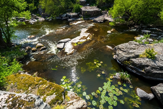 Beautiful landscape of algae growing in fast mountain river