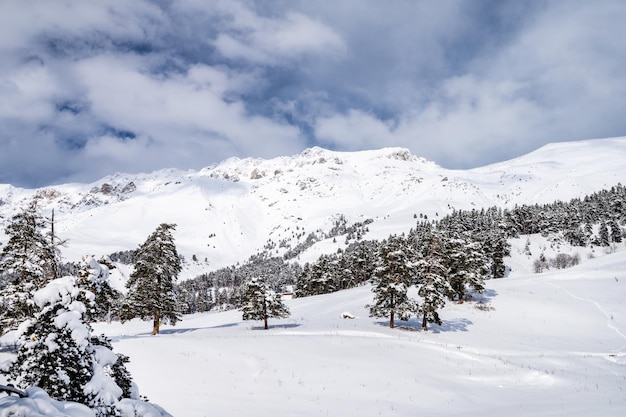 Beautiful landscape of the Arkhyz ski resort with mountains snow forest and freeride on a sunny winter day Caucasus Mountains Russia