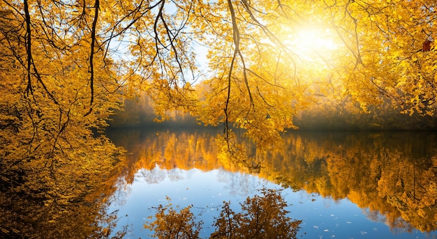 beautiful landscape in autumn with the reflection on a lake