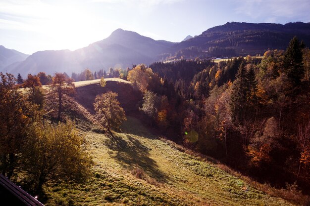 Beautiful landscape - bright sunrise in the mountains. beautiful silhouettes of mountains