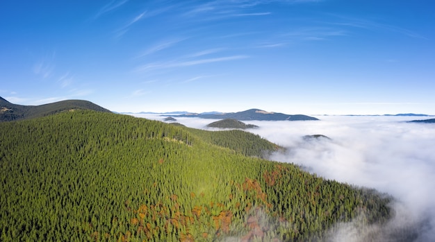 Beautiful landscape of Carpathian mountains covered with green forest and morning fog in the valley from aerial view.