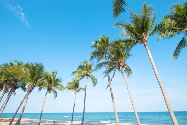 夏の熱帯のビーチ（海景）のココナッツ椰子の木の美しい風景。夏の背景の概念。