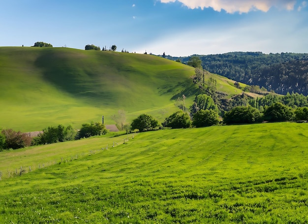 Beautiful landscape countryside with green meadow on the hill