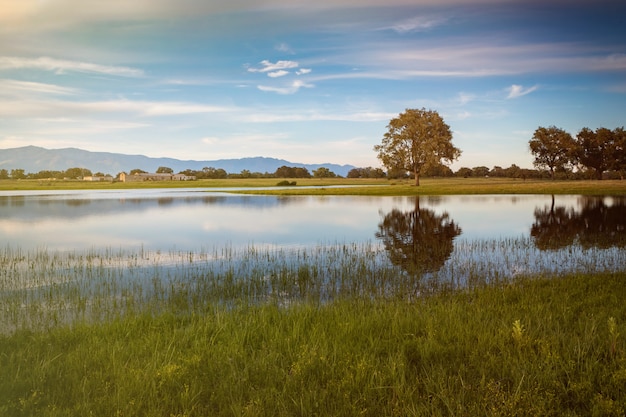 Beautiful landscape of the countryside 