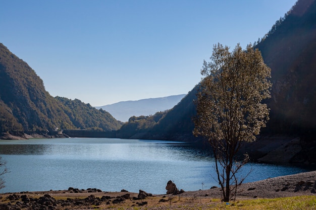 山、湖、自然とドロミテの美しい風景