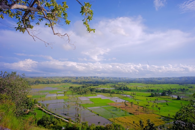 インドネシア、ヌサテンガラティムールのスンバ島にある東スンバまたはスンバティムールの美しい風景。