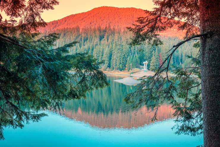 Photo beautiful landscape fir trees around the lake in autumn