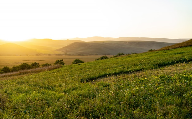 Beautiful landscape in the foothills