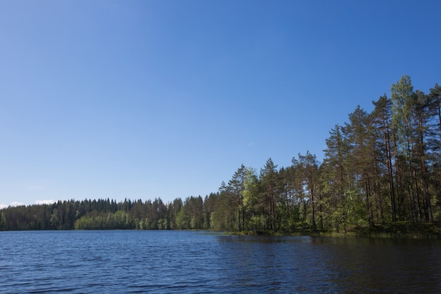 Beautiful landscape of forest lake and islands in Finland summer day view