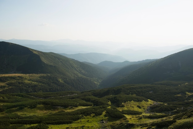 カルパティア山脈の緑豊かなヨーロッパの山々の美しい風景