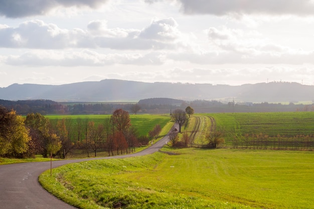 beautiful landscape. green field, trees, mountains