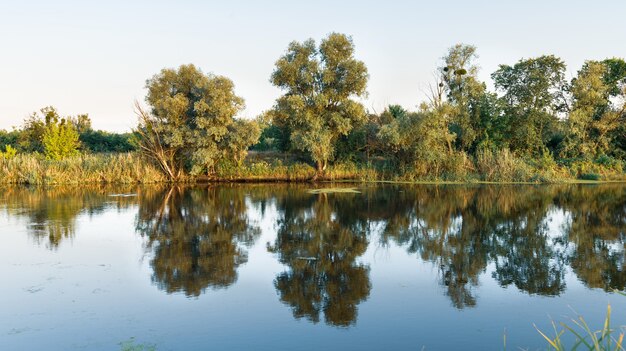 Beautiful landscape of green meadows and summer forest