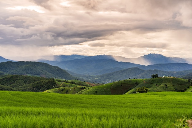 Beautiful landscape of green rice terraces