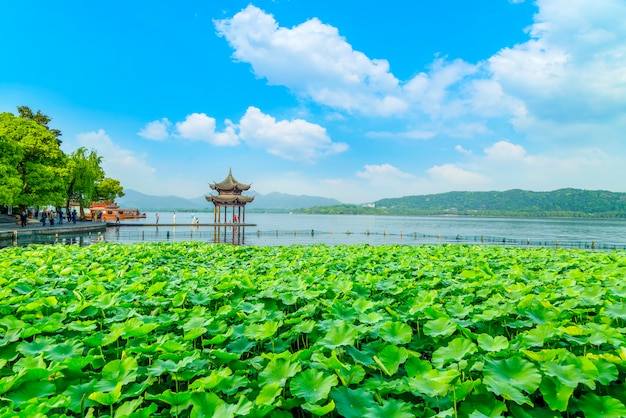 Il bellissimo paesaggio di hangzhou, west lake