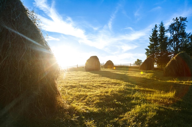 Beautiful landscape of haystacks in field