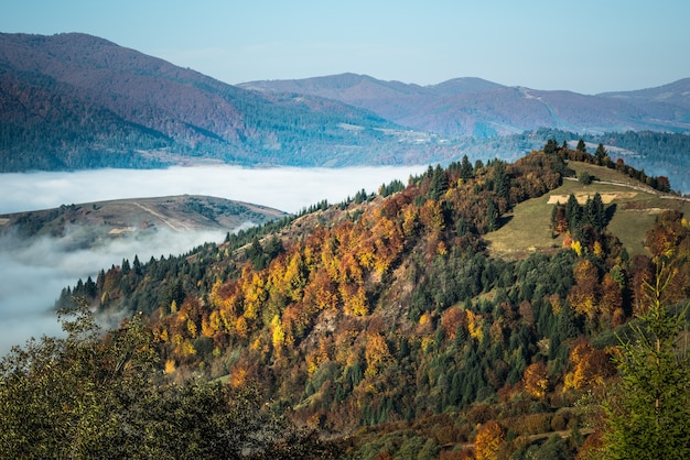 Bellissimo paesaggio di collina e alba luminosa