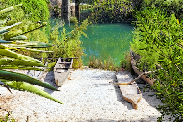 Bellissimo paesaggio di giungla tropicale umida.