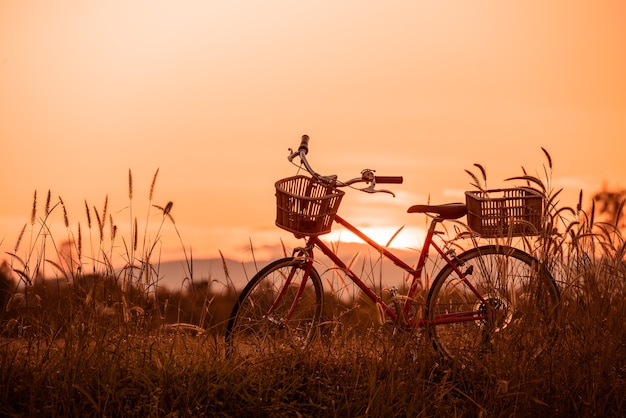 자전거와 함께 아름 다운 풍경 이미지