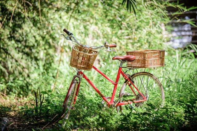 자전거와 함께 아름 다운 풍경 이미지