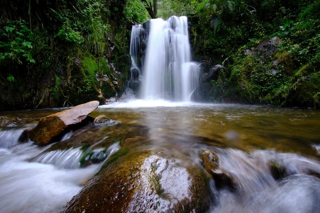 폭포와 작은 강을 형성하는 물줄기가 흐르는 안데스 숲의 아름다운 풍경