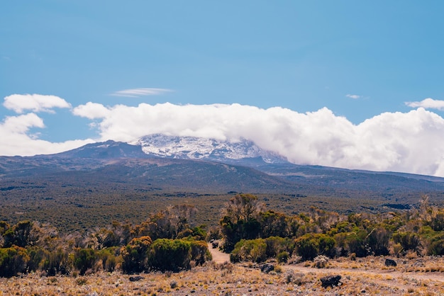 タンザニアのキリマンジャロ火山の美しい風景。キリマンジャロ火山周辺の岩、茂み、空の火山地帯。