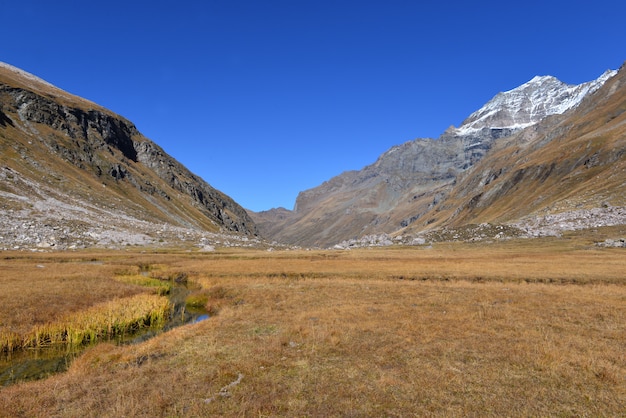 Beautiful landscape of a little river crossing alpine mountain in yellow grass under blue sky