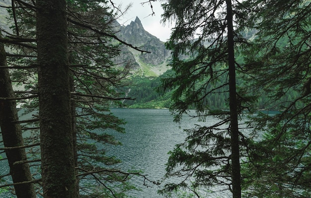 Beautiful landscape of mountain and lake