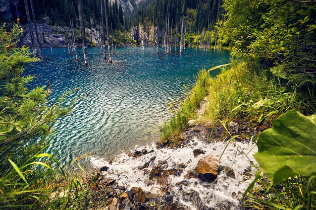 山の湖の美しい風景