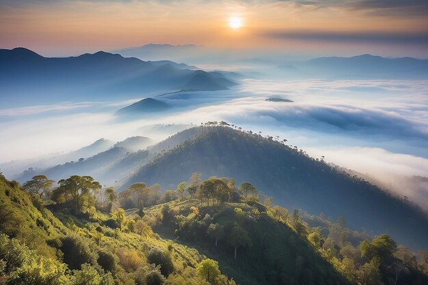 Beautiful Landscape of mountain layer in morning sun ray and winter fog at Doi Hua Mae Kham Mae Salong Nai Chiangrai Thailand
