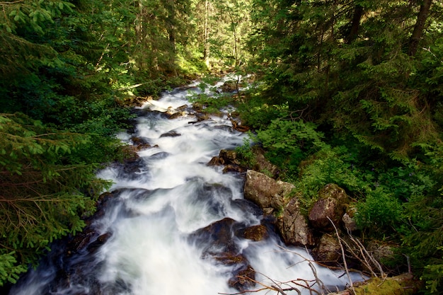 Beautiful landscape mountain river Mountain river Slovakia