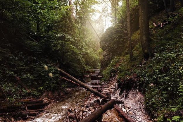 Beautiful landscape mountain river 