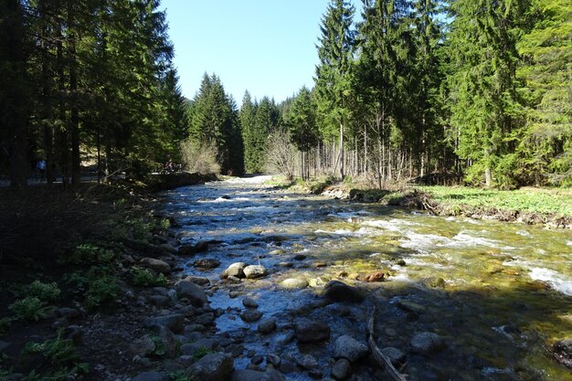 beautiful landscape of mountain valley