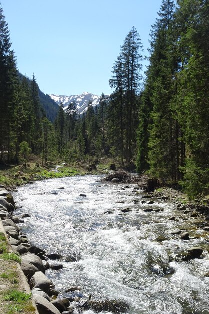 beautiful landscape of mountain valley