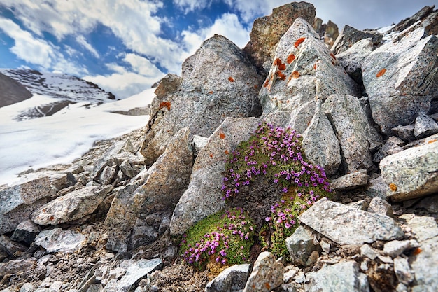 山の美しい風景