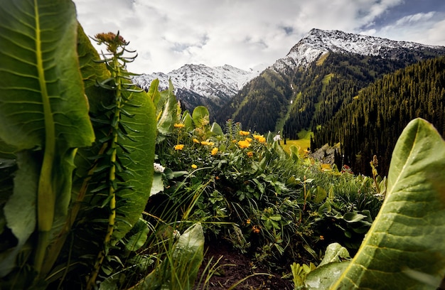 Beautiful landscape of mountains