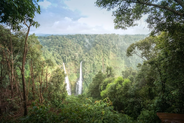 Beautiful landscape nature of rainforest and mountains 